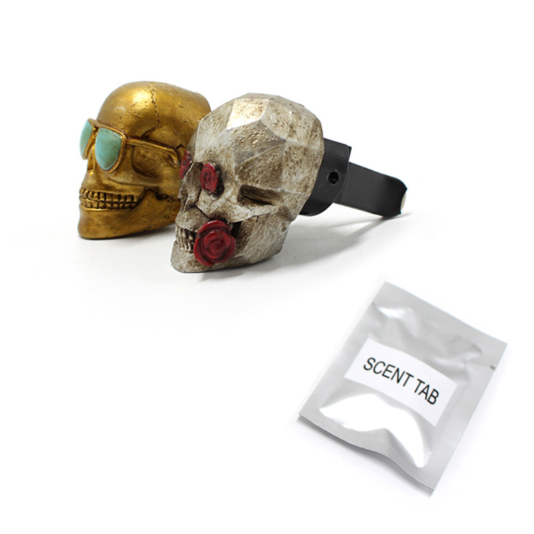 2 ‌ stks/set Hars Rose Skull A - Car Air Freshener Vent recensie en prijs