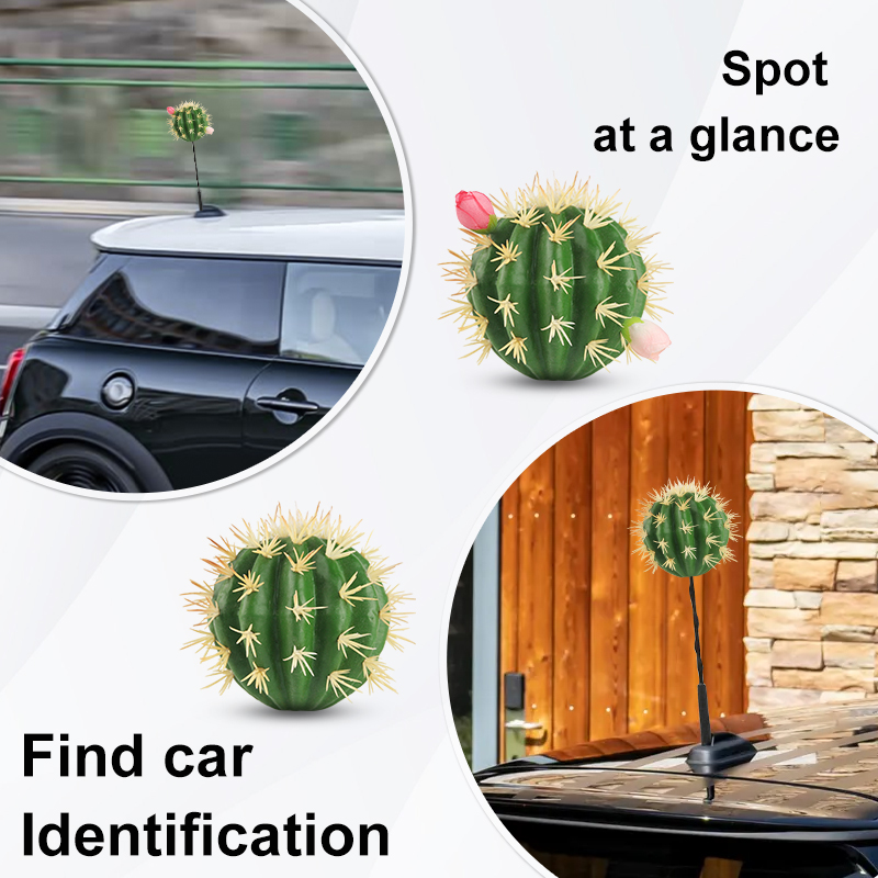 Autodakantenne Cactusvormige s - Car Accessories You Need recensie en prijs